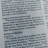 brunocalvi0