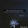 lang14395
