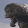 godzillas.cousin