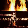 teodoracorsoaustralia