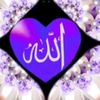 barshasultana745