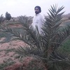 amir_khan_afridi6