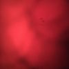hayal_972