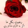 a_arn711