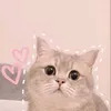 _ttinb_