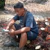nursamsi3003