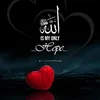 faisalklasra166