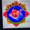 gudang aquarium jogja