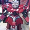 amela_167
