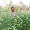 user9624651894262mim