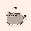 miy__74