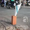 anhtt79