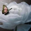 userbgb0gsmgxt