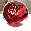 anis_hoceine72