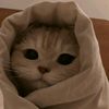riham_.ff