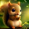 squirrel_2011