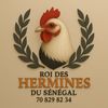 roidesherminesenegal