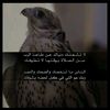 _____hhh04h