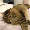ladychris19