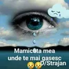 elenavrinceanu552