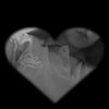 ..angiex_