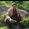 shex_jalal_____________