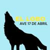 El LOBO INT 🐺🐺🎊🎉