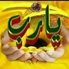 mohamedsaidnebbou