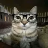 fabri._1726