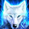 lobo_blanco415