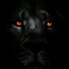 user2nz5scs143