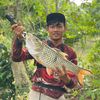 sarjana_fishing