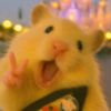 qtqtqtzen