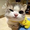 rsandta_a