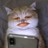 wawa_nan126