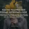 feiro98