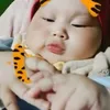 cubpr1