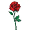 aryal304