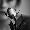 putrw7_