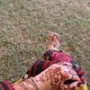 balushii017