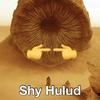 shyhulud_