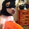 natthenut_1