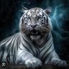 baihu_whitetiger