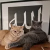 theyentrader