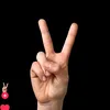 mohamedamni14