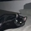 bagerito