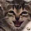 astonishinator39