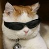 danny_25140