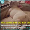 dyvb99o9ybly