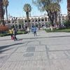 percymamanisonc76